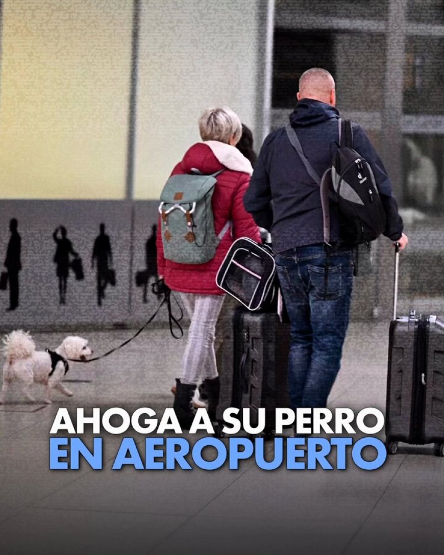 Mujer ahoga a su perro en aeropuerto de Orlando tras negarle vuelo a Colombia