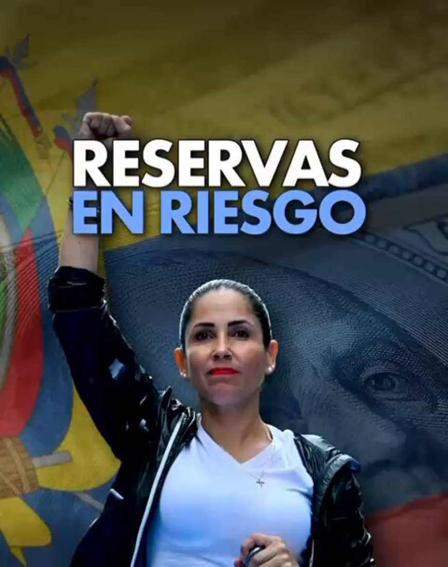 Impuestos, aranceles y reservas: Propuestas económicas de la Revolución Ciudadana generan preocupación