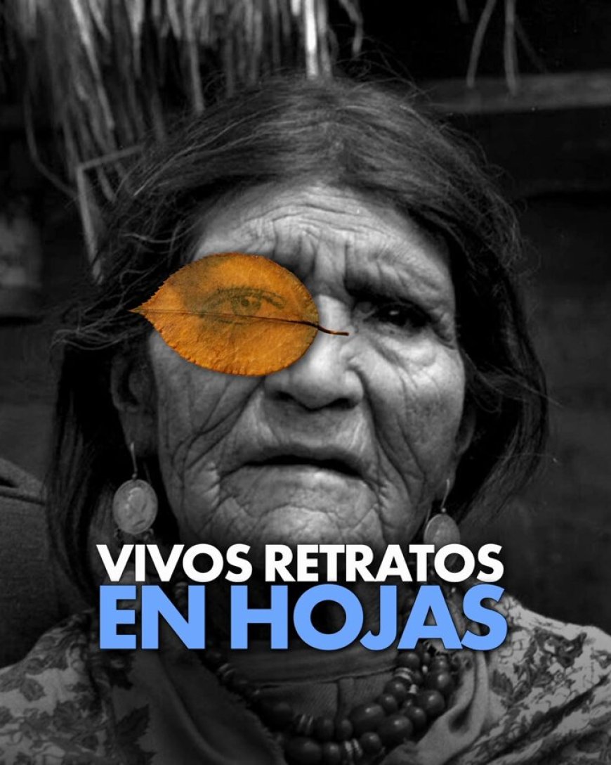 🔵 Retratos que respiran vida