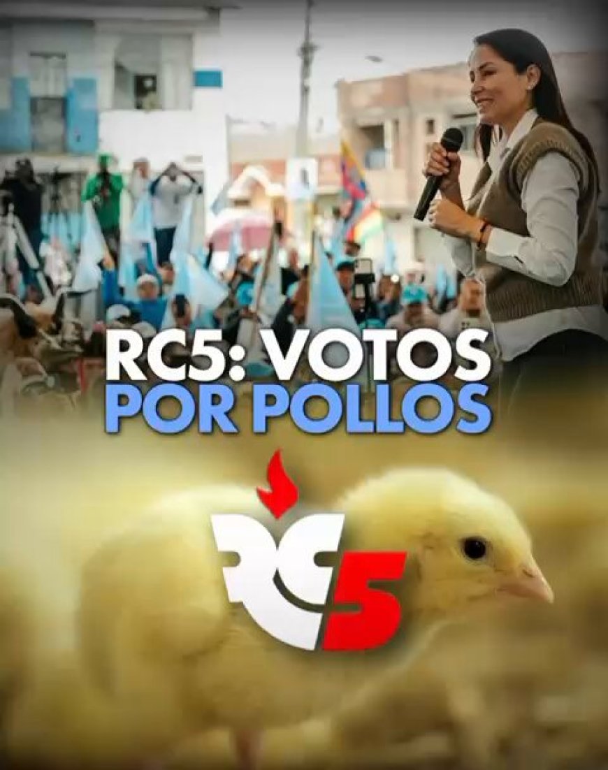 🔵 Pollos por votos