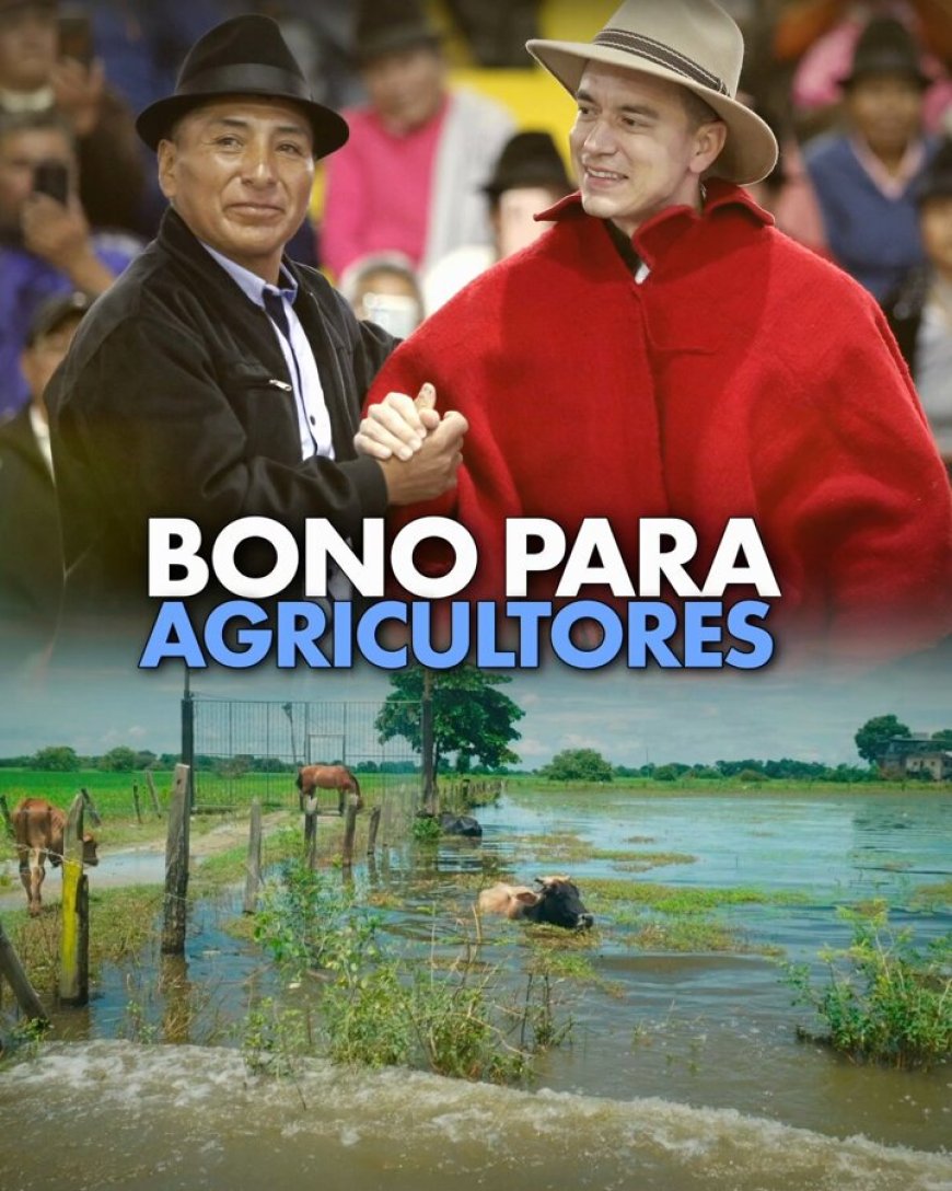 🔵 En respuesta al temporal, el Gobierno Nacional activa la entrega de bonos de $800 a agroproductores que perdieron sus cultivos por las lluvias. Un alivio en medio de la crisis climática. #BonoClimático