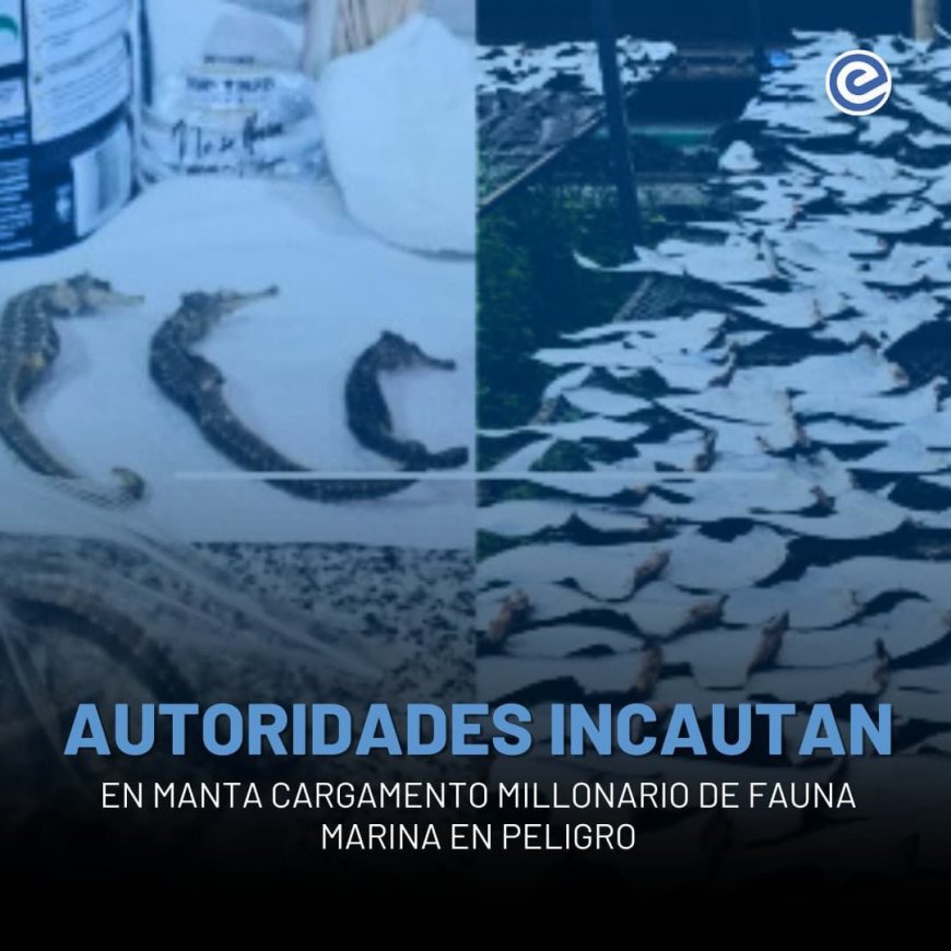 🔵 Golpe al tráfico ilegal de especies