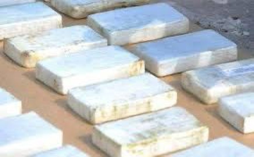 La Policía decomisó los 520 bloques de cocaína ocultos en un tráiler que viajaba de Daule a Nobol, la droga está valorada en USD 15 millones en Europa.