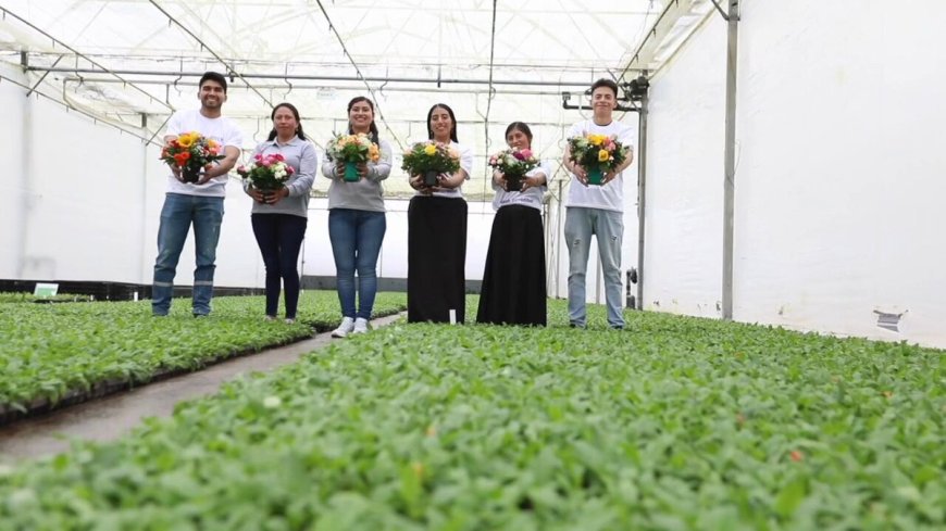 🔵 El Gobierno Nacional impulsa el desarrollo con hechos:⁠ ✔️ 80.000 jóvenes con oportunidades⁠ ✔️ 100.000 becas de inglés⁠ ✔️ 100.000 emprendedores respaldados⁠ ✔️ Acciones concretas para enfrentar la crisis invernal⁠ Seguimos construyendo el #NuevoEcuador con compromiso y…