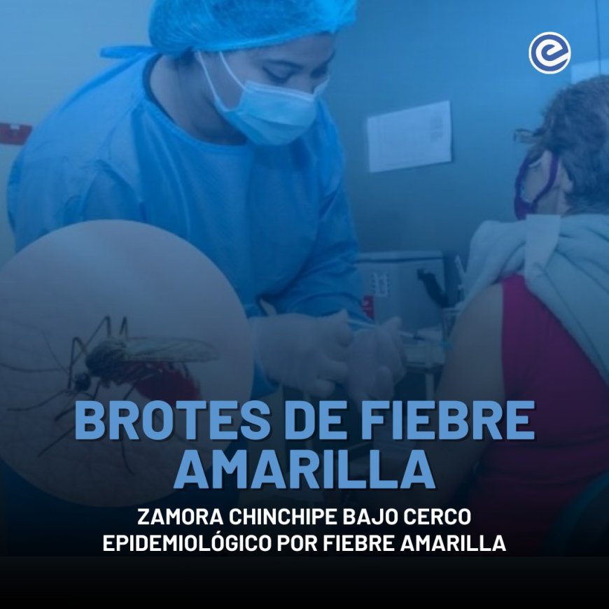 Alerta sanitaria en la Amazonía | Ecuador confirma nuevos casos autóctonos de fiebre amarilla