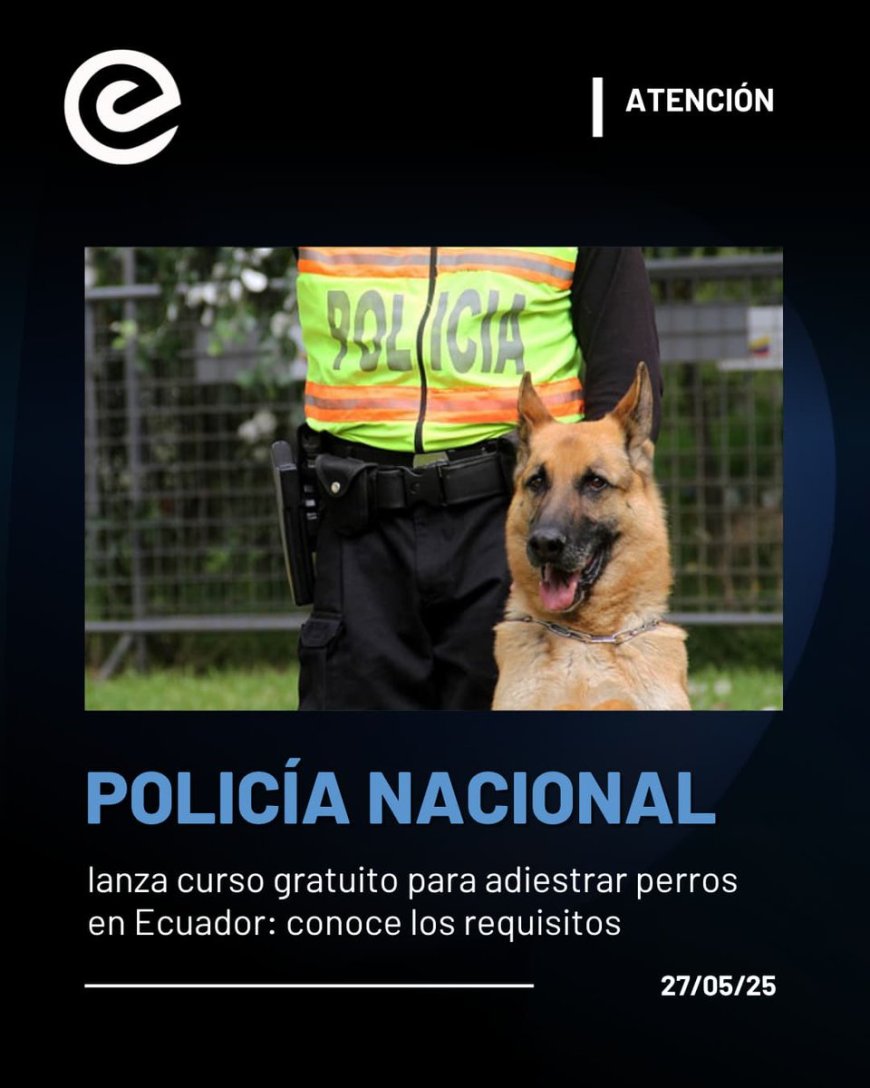 🔵 ¡Adiestramiento gratuito para tu mejor amigo!