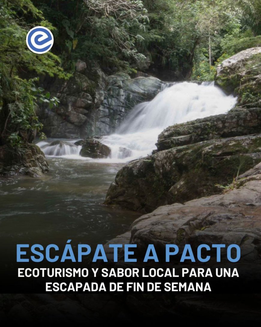🔵 A menos de dos horas de Quito, Pacto se alza como una joya natural para escapar del ritmo citadino. Con un clima templado, avistamiento de aves silvestres, gastronomía local y emprendimientos como el Hotel La Cañita. Esta parroquia del noroccidente capitalino se consolida como…