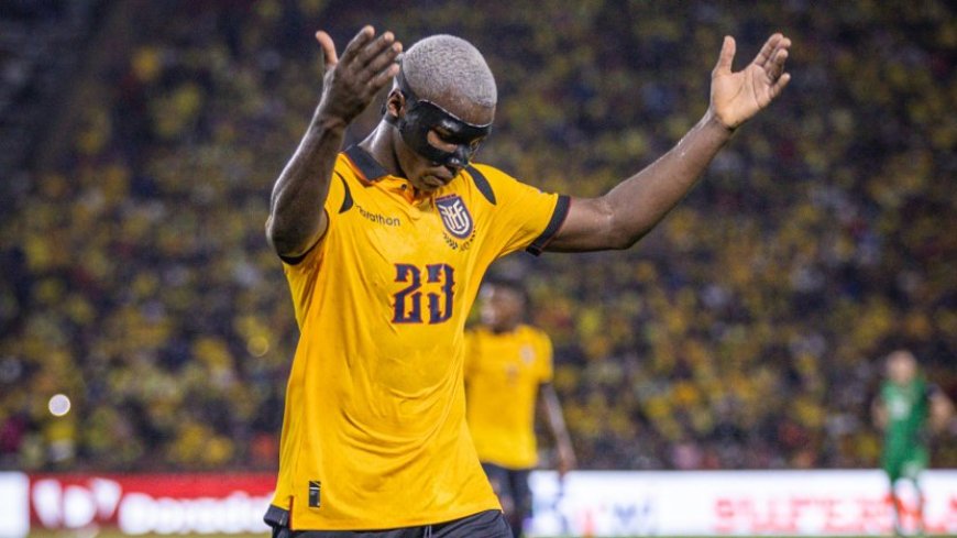 Esta sería la alineación de Ecuador ante Perú en Lima, por la Fecha 16 de las Eliminatorias Posible alineación de Ecuador ante Perú Gonzalo Valle; Willian Pacho, Piero Hincapié, Joel Ordóñez; Pervis Estupiñán, Alan Franco, Moisés Caicedo, Pedro Vite, Alan Minda; John Yeboah y…