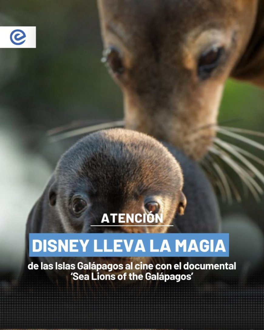Galápagos llega al cine con Disney+