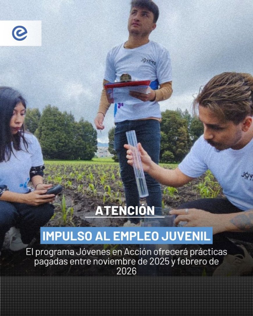 Vuelve el programa Jóvenes en Acción: 80.000 pasantías pagadas