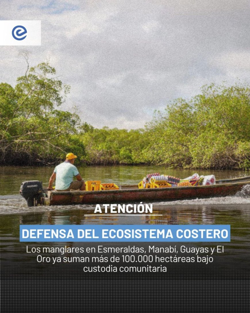 Ecuador alcanza las 100.000 hectáreas de manglar bajo conservación comunitaria