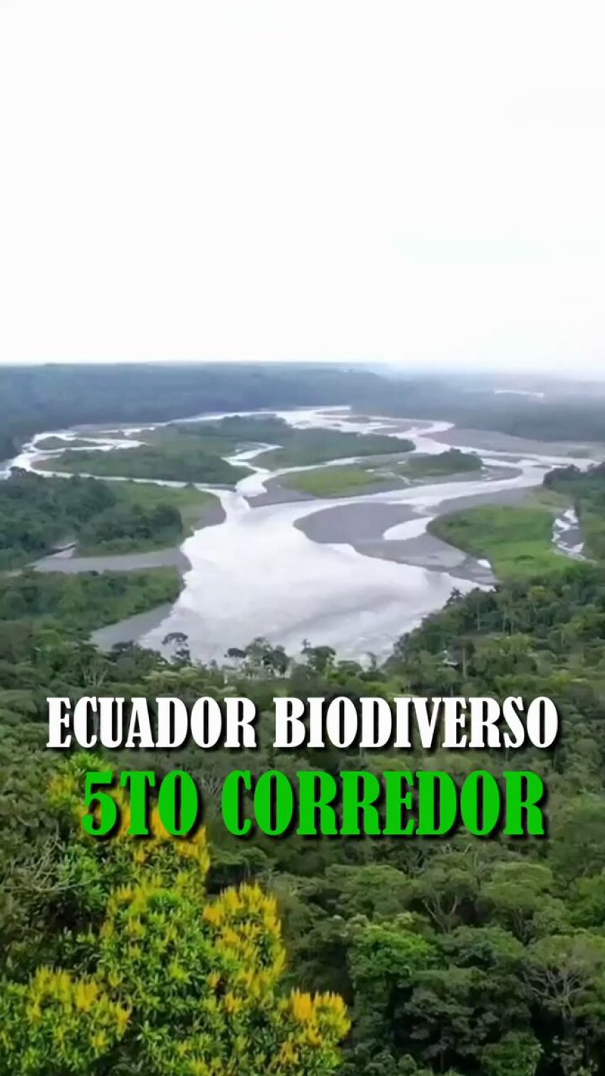 Ecuador suma su quinto corredor ecológico