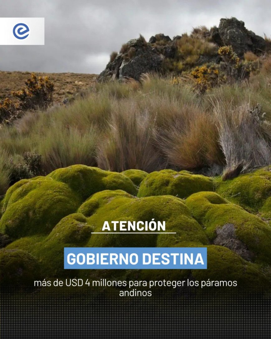 Ecuador invierte en la conservación de sus páramos