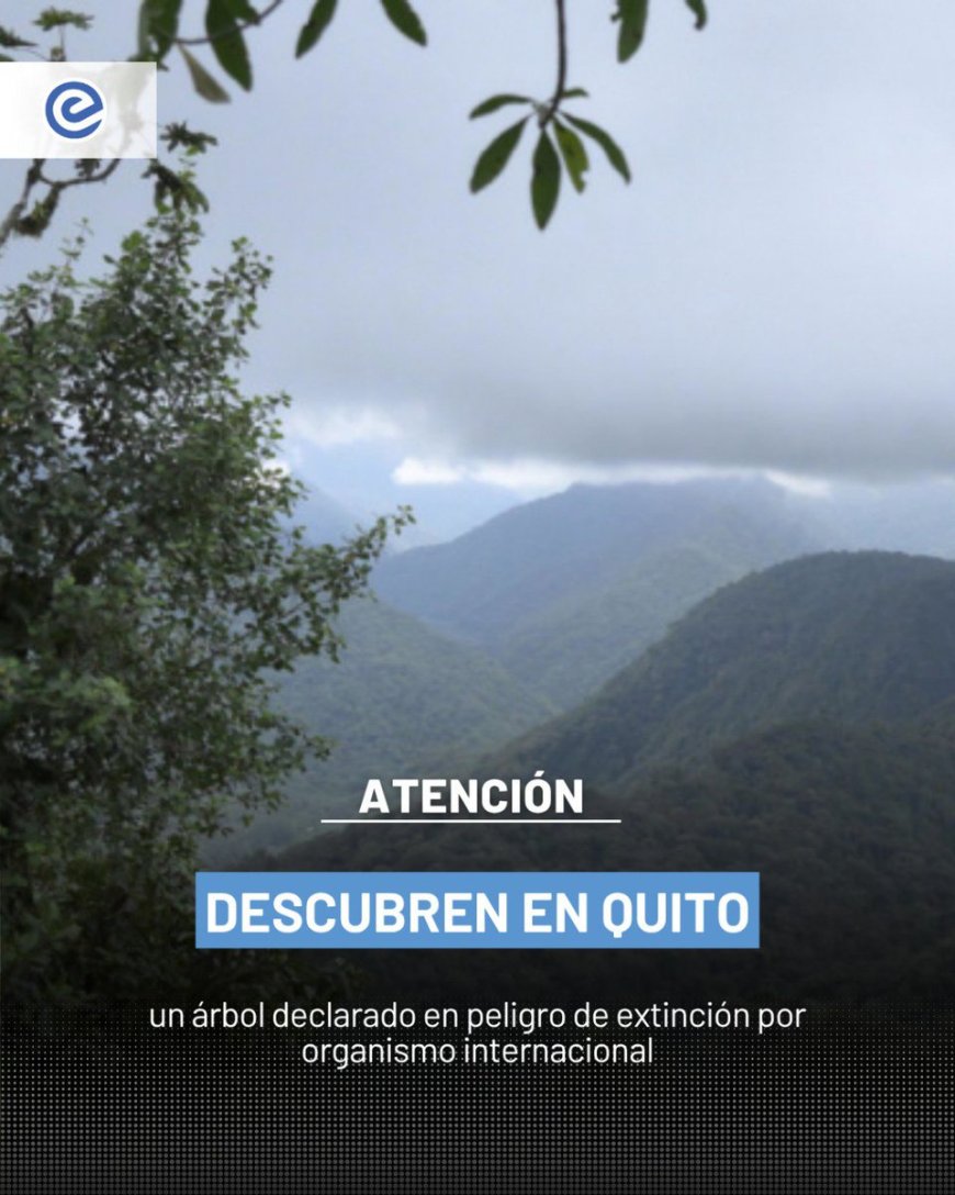 Un gigante silencioso al borde del olvido