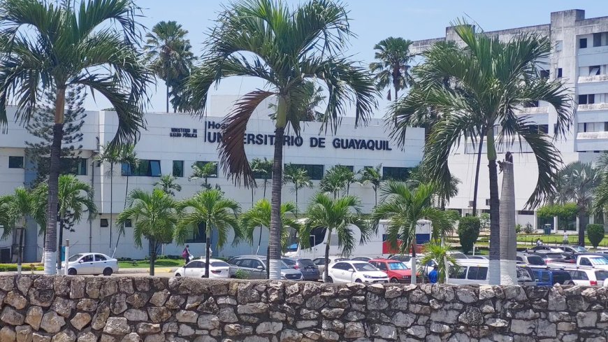Asamblea Nacional cita a autoridades de salud por fallecimiento de bebés en hospital de Guayaquil