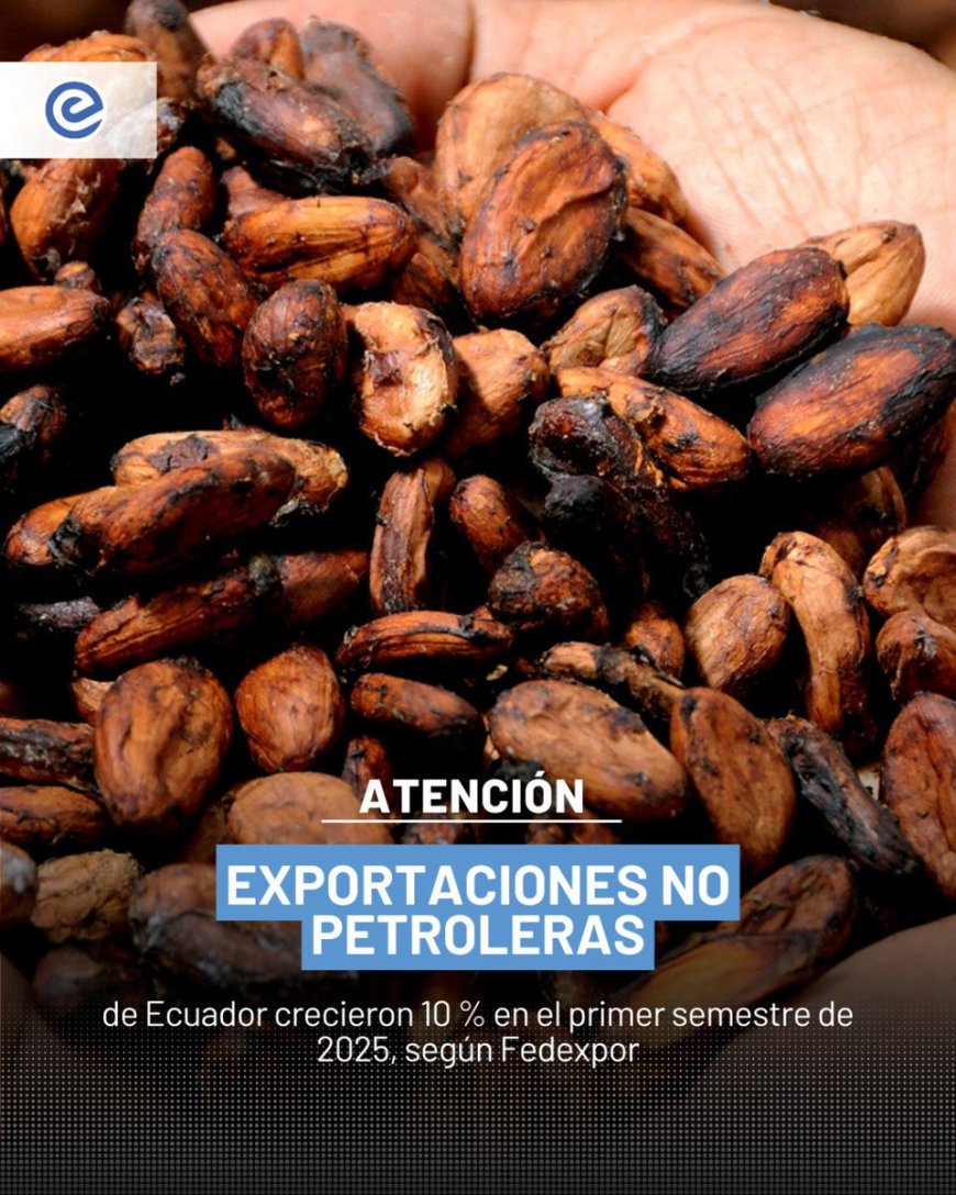 Exportaciones no petroleras de Ecuador crecen 10% en el primer semestre de 2025