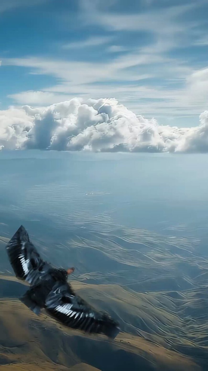 En #ElNuevoEcuador no bajamos la mirada. Nos levantamos firmes contra el crimen, defendiendo lo que más amamos: nuestras familias, nuestra libertad y la esperanza de un país que nunca se rinde. La seguridad es nuestro compromiso, la libertad nuestra mayor responsabilidad. #ElNuevoEcuadorDefiende 🇪🇨