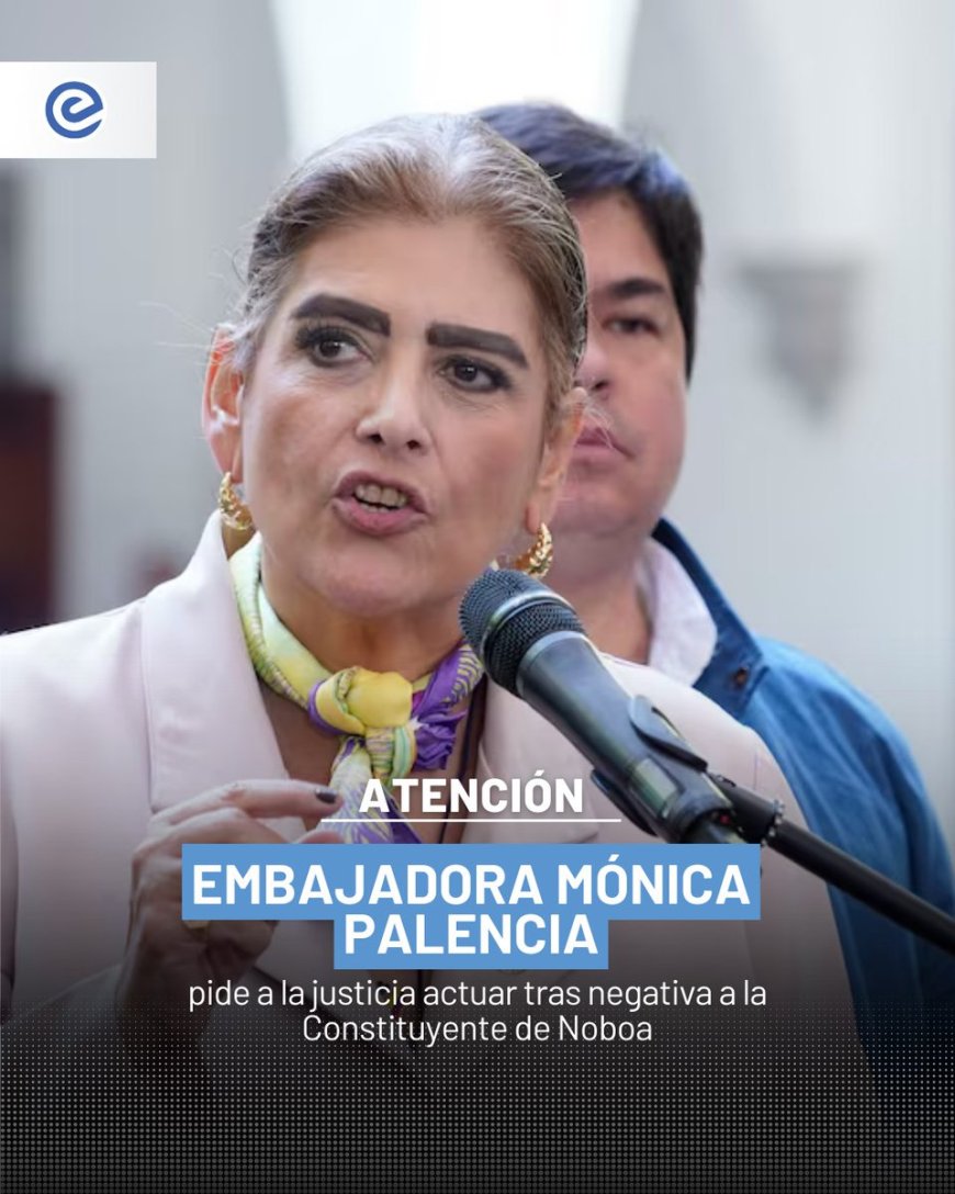 Embajadora de Ecuador ante la OEA pide acciones tras negativa a asamblea constituyente