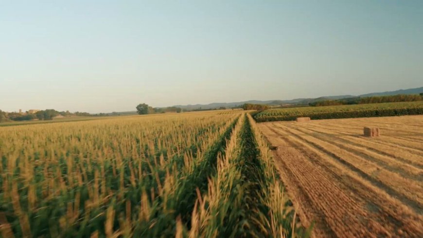 ¡#ElNuevoEcuador cumple! 🇪🇨🚜 70 mil productores de todo el país ya recibieron el Bono Raíces. En total, se beneficiarán 100 mil pequeños agricultores y sus familias. #EcuadorMasJusto