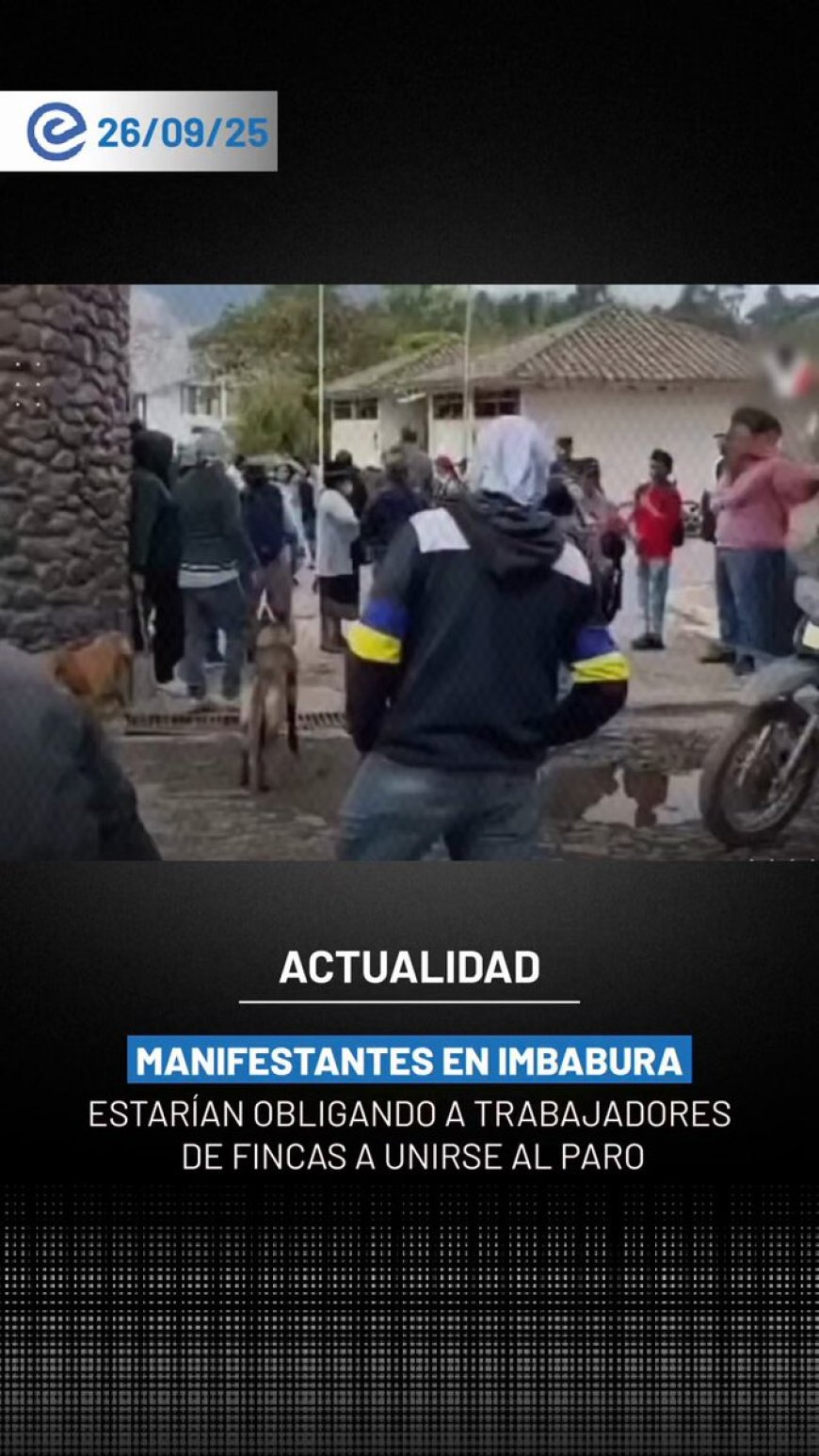 Productores de flores denuncian agresiones a trabajadores en Imbabura durante paro | Asociación Nacional de Productores y Exportadores de Flores