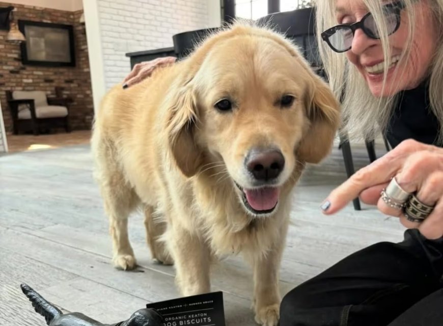 La emotiva despedida de Diane Keaton en redes sociales junto a su perro Reggie