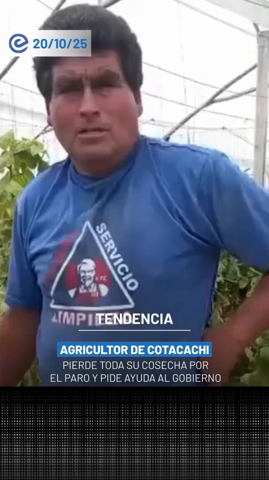 Agricultor de Cotacachi pierde su cosecha por el paro nacional | Finca cierra temporalmente