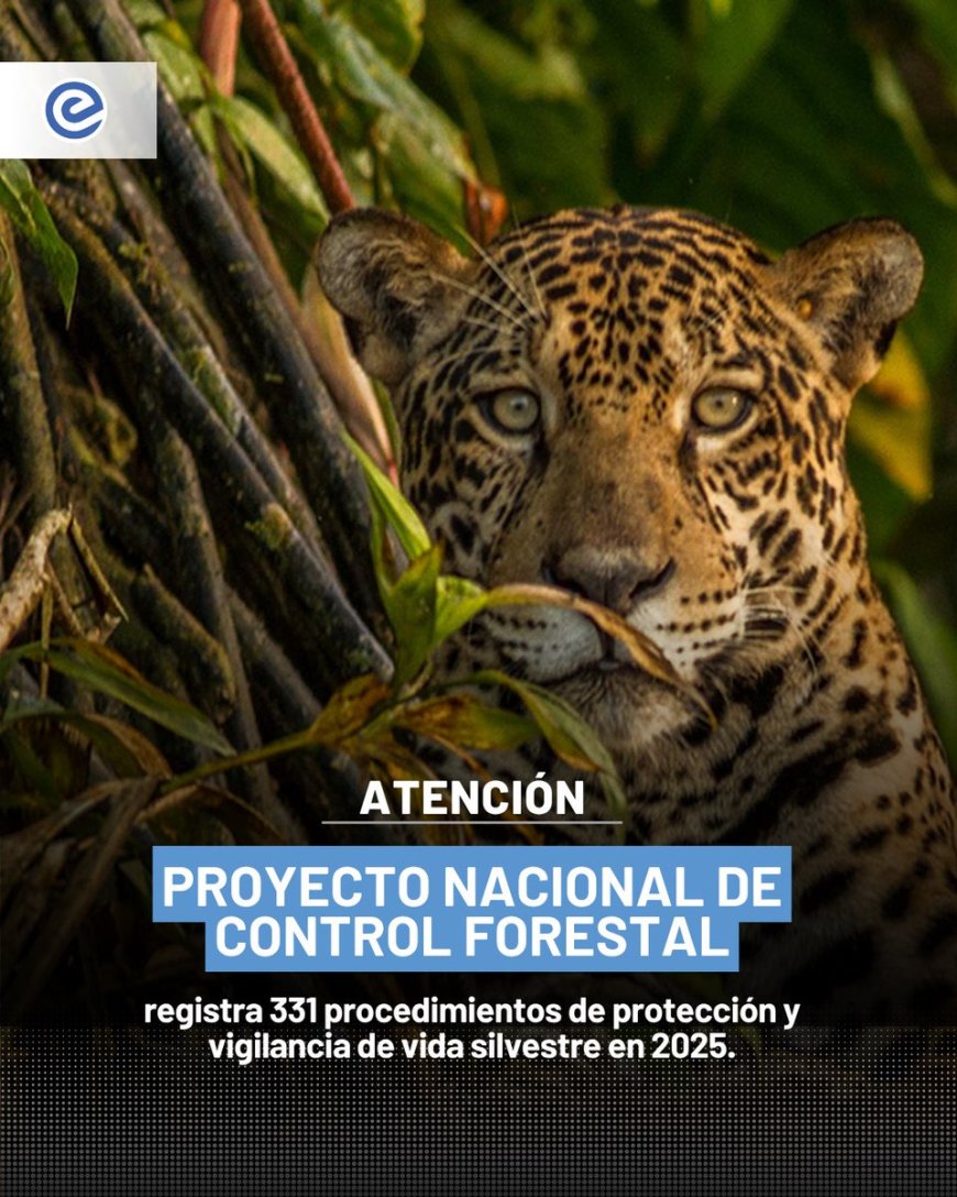El Nuevo Ecuador protege su vida silvestre: Más de 7.400 especímenes rescatados en 2025