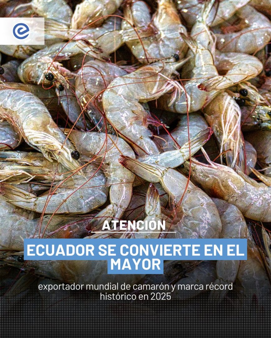 Ecuador rompe otro récord mundial