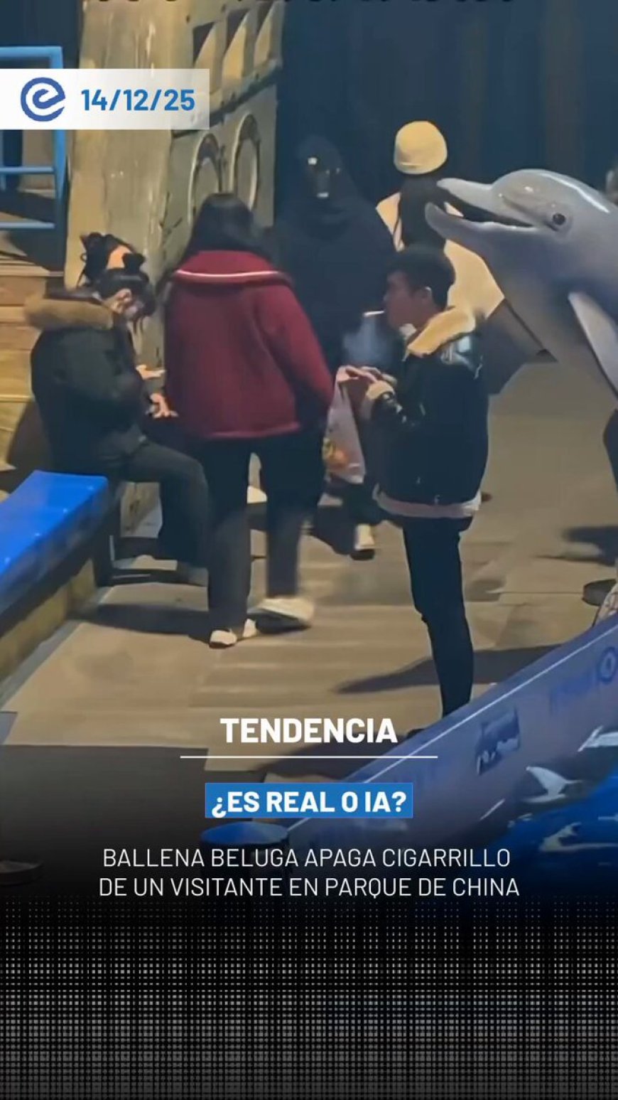 🔵Un visitante fue sorprendido en el parque Dalian Ocean World, en China, cuando una ballena beluga apagó su cigarrillo con un chorro de agua tras ignorar la prohibición de fumar.
