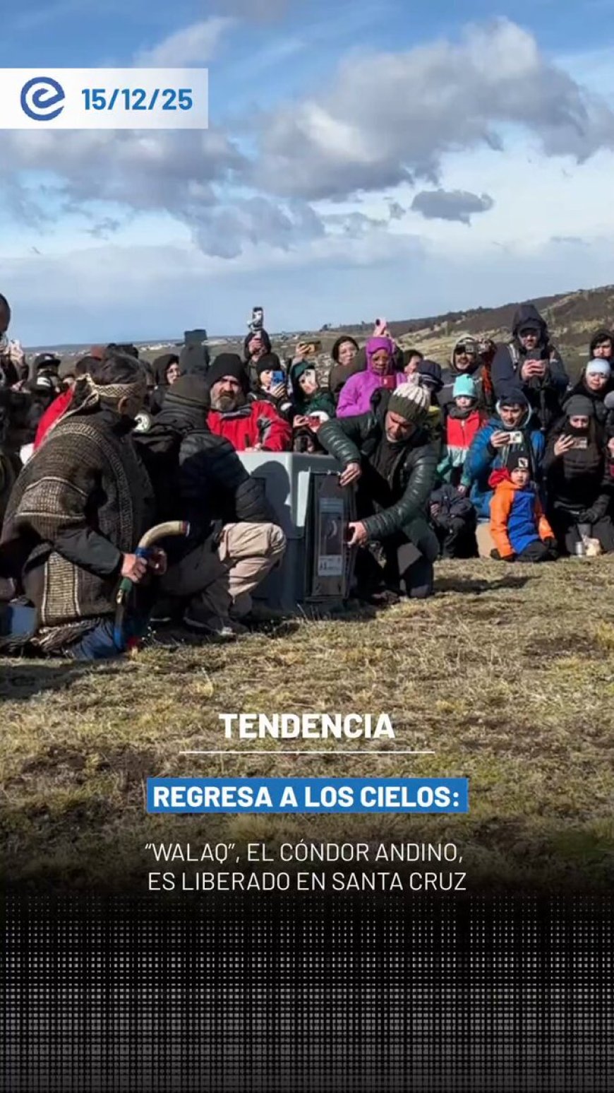 🔵 Walaq, el cóndor que fue cuidado y acompañado durante su proceso de recuperación, volvió a volar frente a las montañas, marcando un momento simbólico de resiliencia y vida.