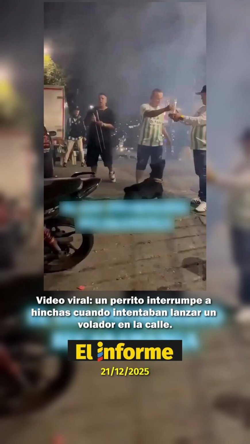 🔵 Un perrito se convirtió en protagonista de un momento inesperado en Medellín al interrumpir el intento de varios hinchas de lanzar un volador en la vía pública.