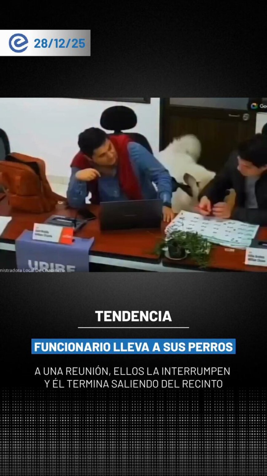 🔵 Un video difundido en redes sociales muestra a Nicolás Velasco, edil de Chapinero en Bogotá, asistiendo a una sesión oficial acompañado de sus perros, situación que generó diversas reacciones entre los usuarios.