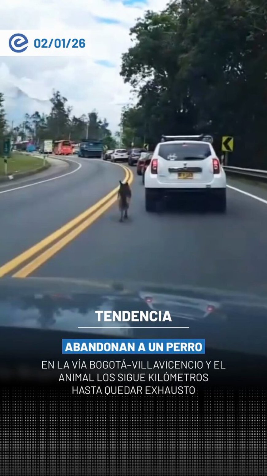 🔵 Viajeros denunciaron el presunto abandono de un perro en la vía Bogotá–Villavicencio, en Colombia. Según los testimonios, el perrito habría sido dejado en la carretera por un vehículo en movimiento.