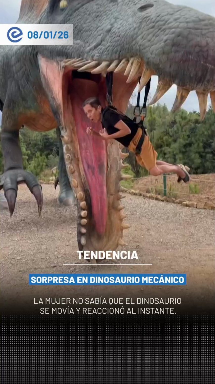 🔵 Fue a divertirse y casi termina como snack jurásico: el dinosaurio mecánico fingió tragársela y los gritos no se hicieron esperar.