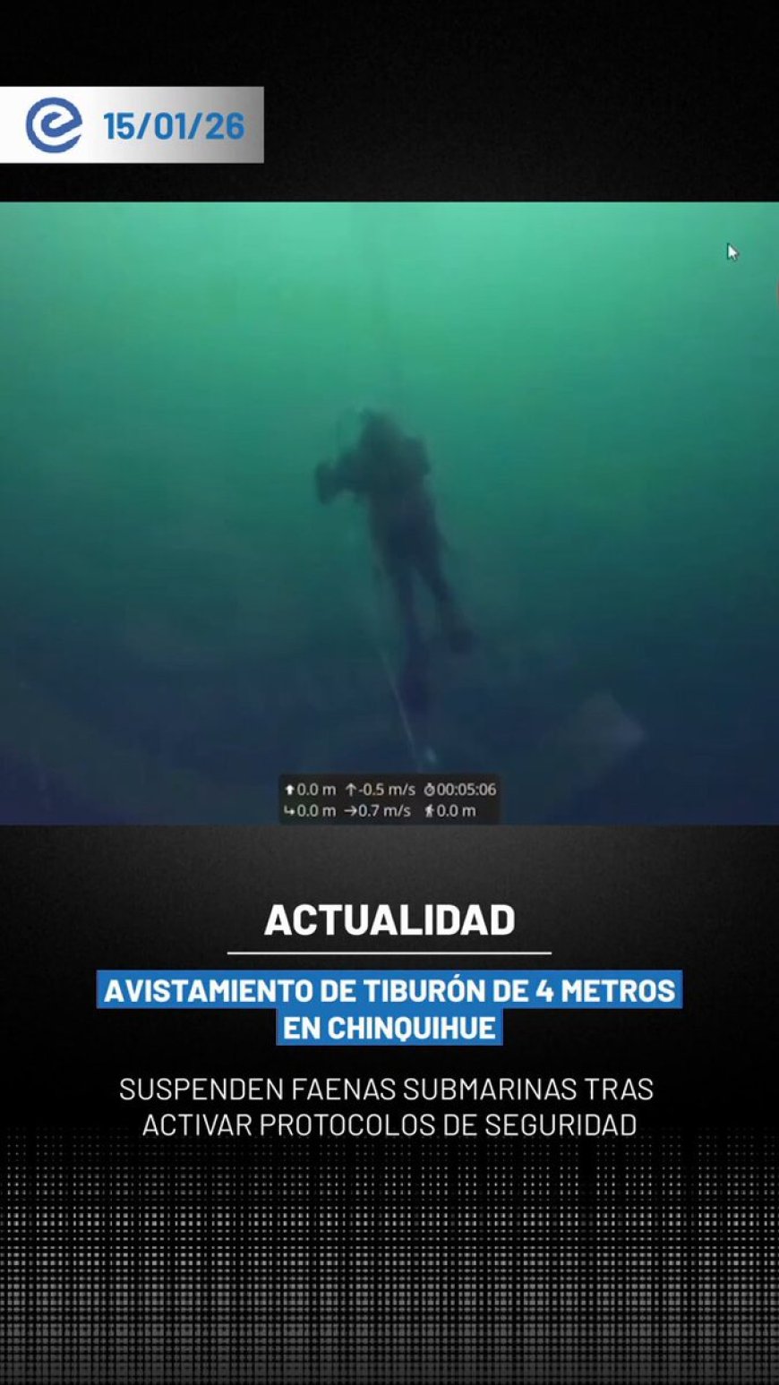 🔵 Las faenas submarinas en el sector de Chinquihue, Puerto Montt, fueron suspendidas tras el avistamiento de un tiburón de aproximadamente cuatro metros de longitud, detectado por un equipo de buceo durante trabajos rutinarios.