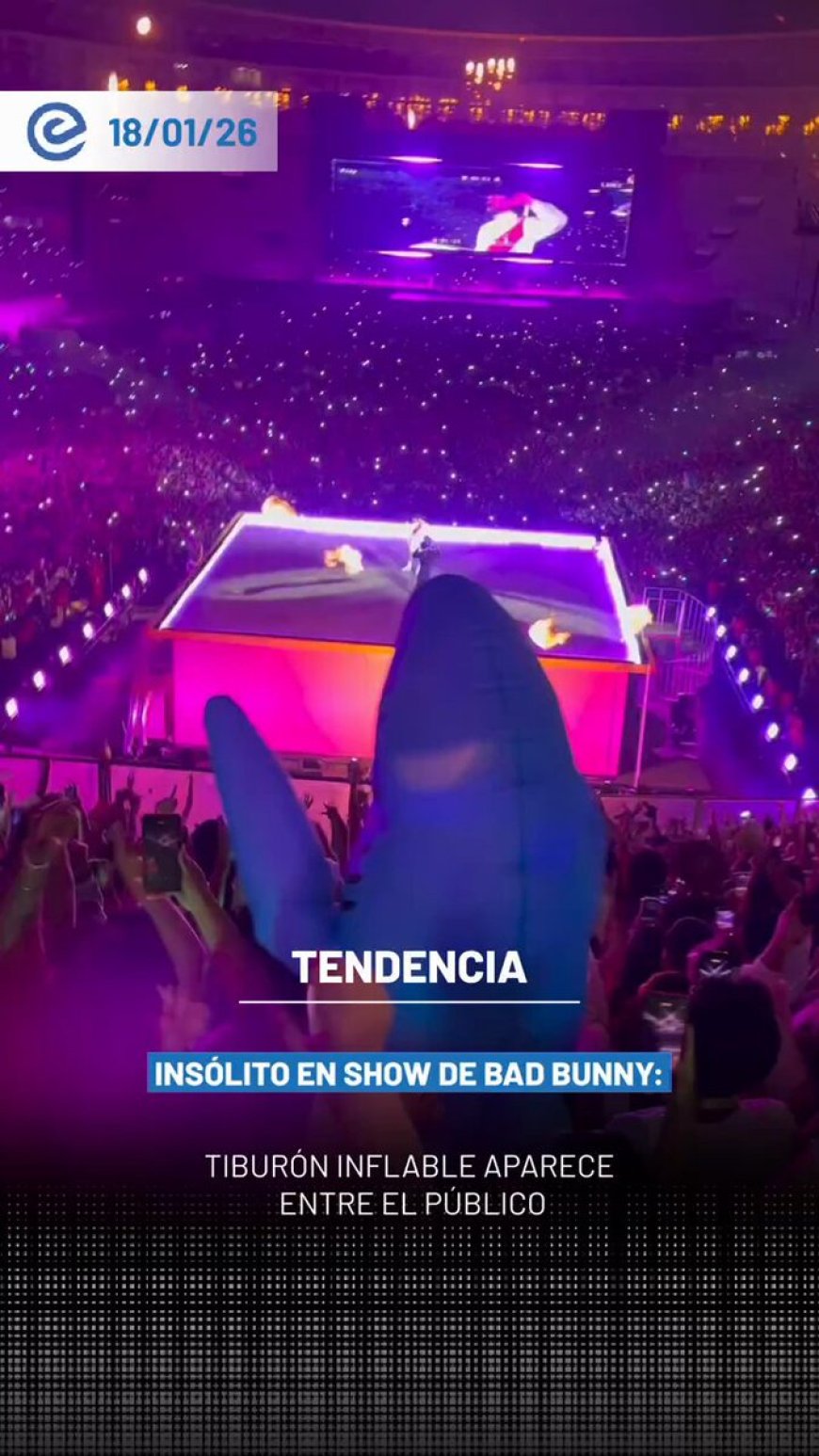 🔵 Un asistente vestido de tiburón durante el concierto de Bad Bunny en Lima se volvió viral en redes sociales por su particular atuendo.